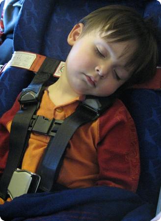 Cares airplane harness hotsell