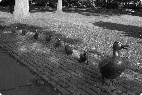 Make Way for Ducklings sculpture in the Boston Public Garden