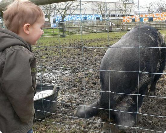 London's Battersea Park Zoo