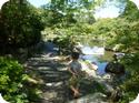 Entering the Japanese Garden at the Seattle Arboretum