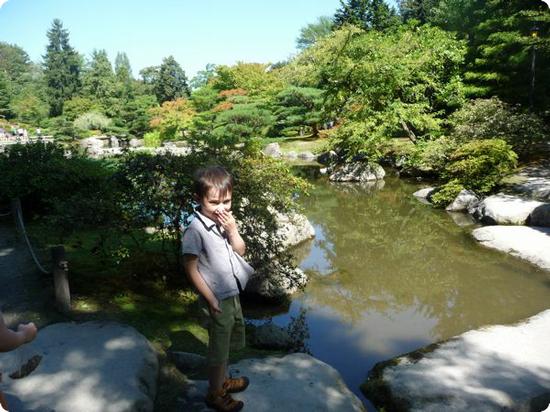 A stone path across a slow moving river