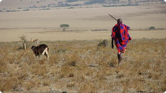 Maasai warrior in Tanzania