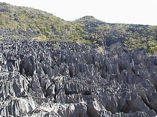 Ankarana Reserve In Madagascar