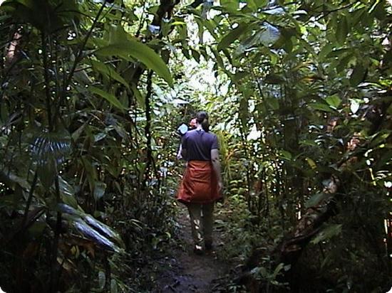 Hiking in the Maroantsetra Rainforest in Madagascar