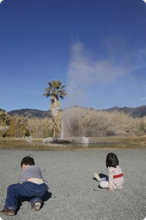 Old Faithful Geyser in Calistoga, CA