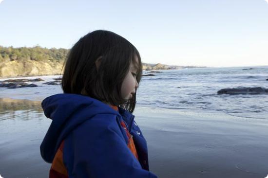 D at Anchor Bay on the beautiful Northern California Coast