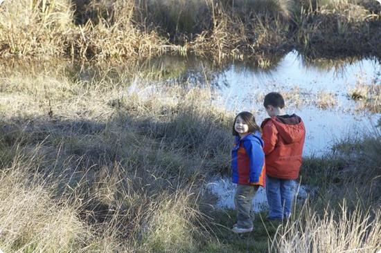 Looking for Frogs in the Pond at Mar Vista Cottages