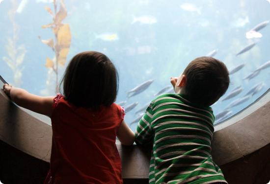 E and D enjoy one of the fish tanks at the Monterey Bay Aquarium