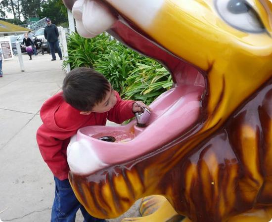 Lion Drinking Fountain at Dennis the Menace Park in Monterey, CA