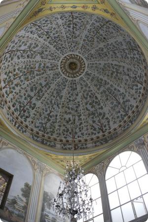 Harem Ceiling at Topkapi Palace, Istanbul 
