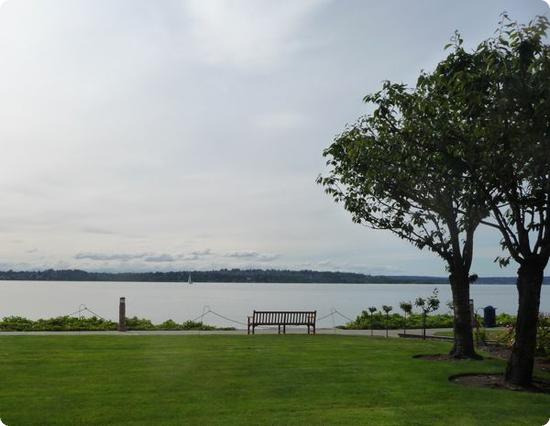 View of Lake Washington and the Olympic Mountains from the Woodmark