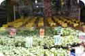 Plants for sale outside of Istanbul's Spice Bazaar