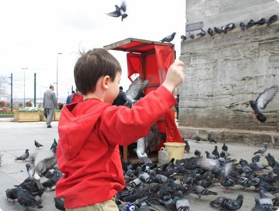 E feeding pigeons outside the New Mosque in Istanbul