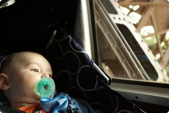 Everest gets ready to nap on a the Eiffel Tower elevator