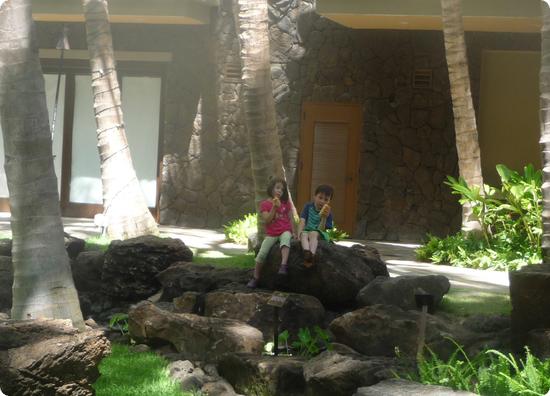 Royal Grove in the Royal Hawaiian Center