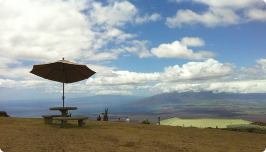 View from Alii Kula Lavender Farm on Maui