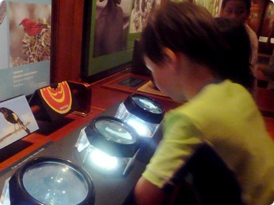 Hands on Area in the Bishop Museum's Hawaiian Hall