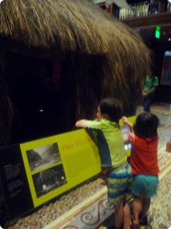 Model of typical Hawaiian construction at the Bishop Museum