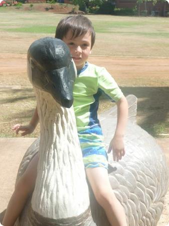 Everest sits on a Nene (Hawaiian State Bird) statue outside the Bishop Museum's Science Adventure Center