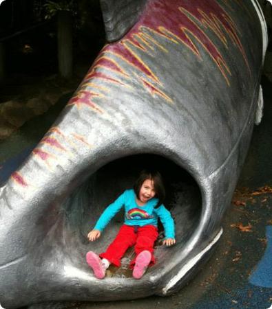 Salmon slide at Carkeek Park in Seattle