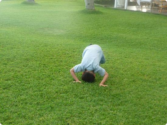 Everest tries a somersault at House Without a Key in Waikiki