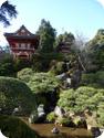 Japanese Tea Garden in San Francisco's Golden Gate Park