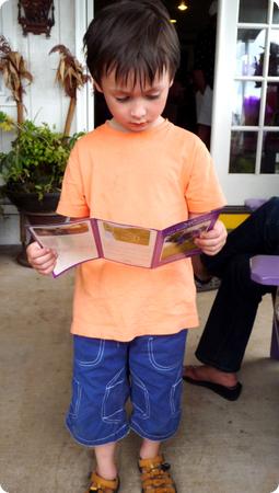 Everest consults a map at Alii Kula Lavendar Farm on Maui