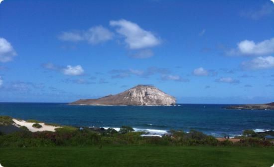 View from Sea Life Park on Oahu