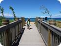 Everest returns from the beach at the Honua Kai Resort on Maui