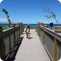 Everest returns from the beach at the Honua Kai Resort on Maui