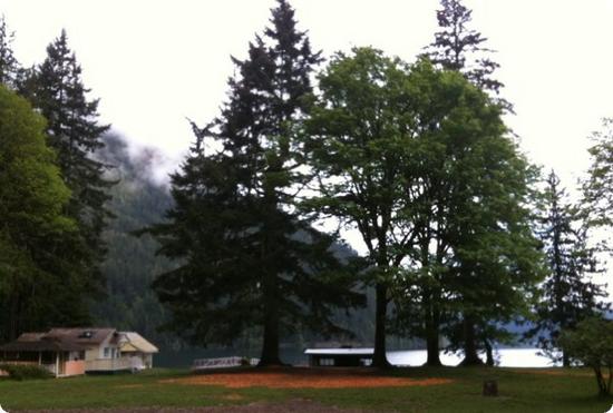 Cabins on Lake Crescent at Olympic Park Institute