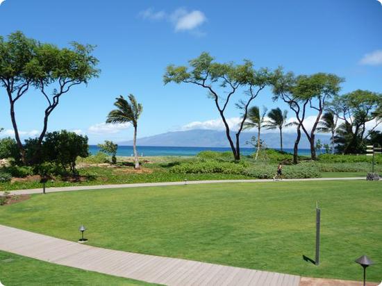 Lawns at Honua Kai Maui