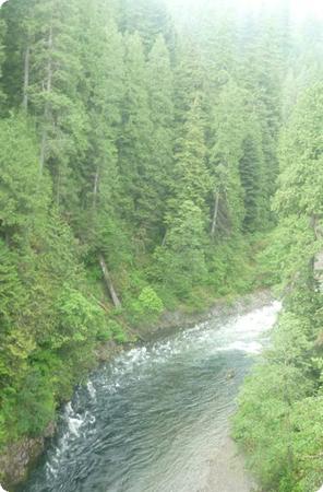 Midpont on the Capilano Suspension Bridge