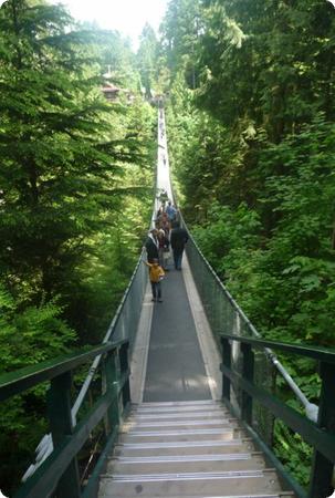 Do you dare to cross the Capilano Suspension Bridge?