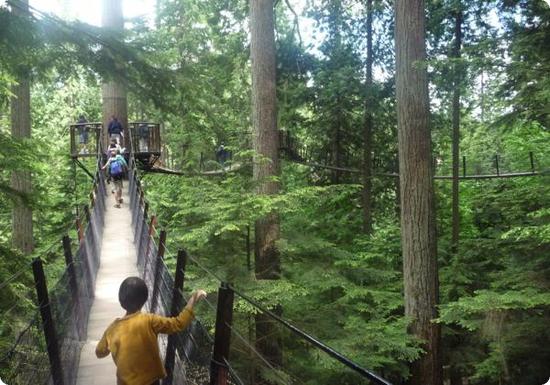 Capilano Treetops Adventure