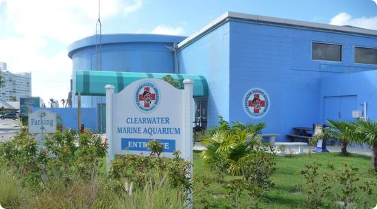 Clearwater Marine Aquarium