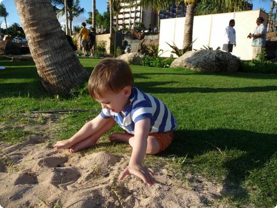 Eilan is experimenting with the sand from the safety of the grass!