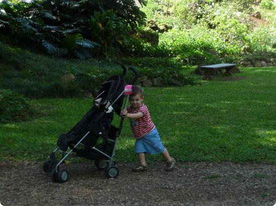 Eilan pushes his stroller through the lush and shady Waimea Valley