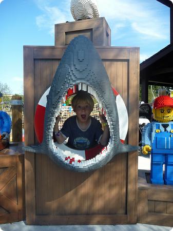 Sharks and Lego, a match made in heaven