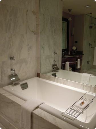 Comfortably large bathtub at the Grand Hyatt Seattle