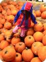 Darya explores the pumpkin patch