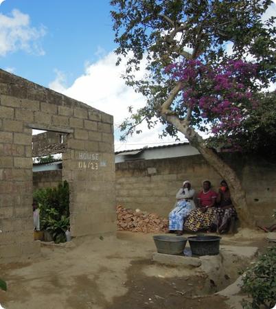 A shady spot in the Garden Compound - this tree remains from the garden that used to be here