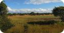 Zambian landscape