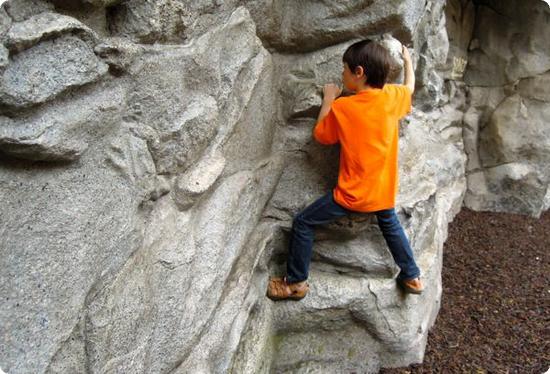 Rock Climbing in Disney's California Adventure Park