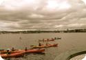 Kayakers on Lake Union