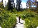 Hiking on Mt Hood