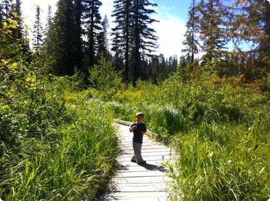 Hiking on Mt Hood